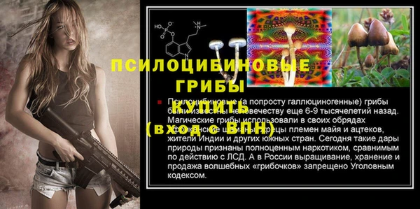 мдпв Ступино