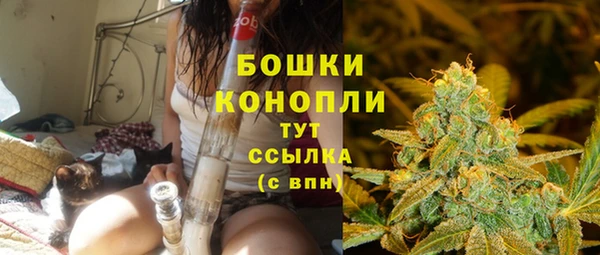 мдпв Ступино