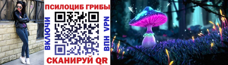 Галлюциногенные грибы Psilocybine cubensis  ОМГ ОМГ онион  Нерехта 