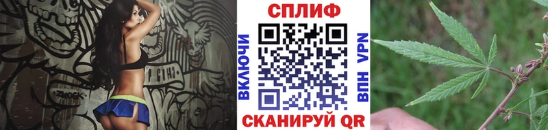 Бошки Шишки индика  Нерехта 